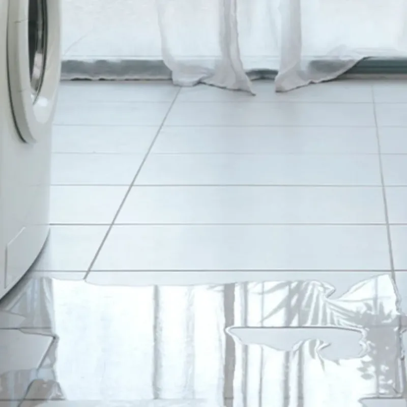 Appliance Leak Cleanup in Chatham County, GA
