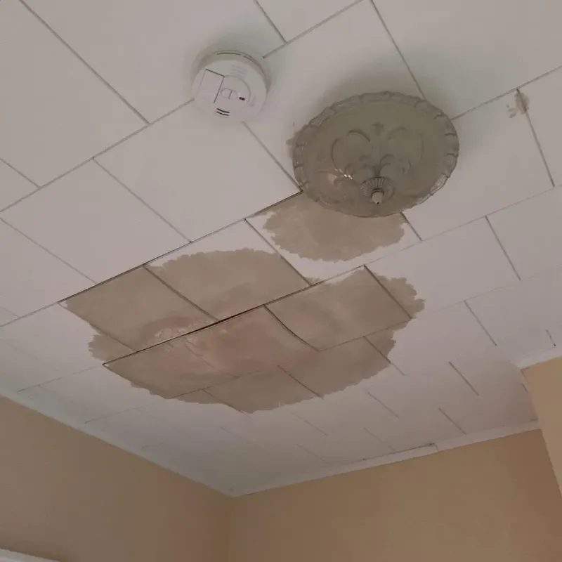Ceiling Water Damage Repair in Chatham County, GA