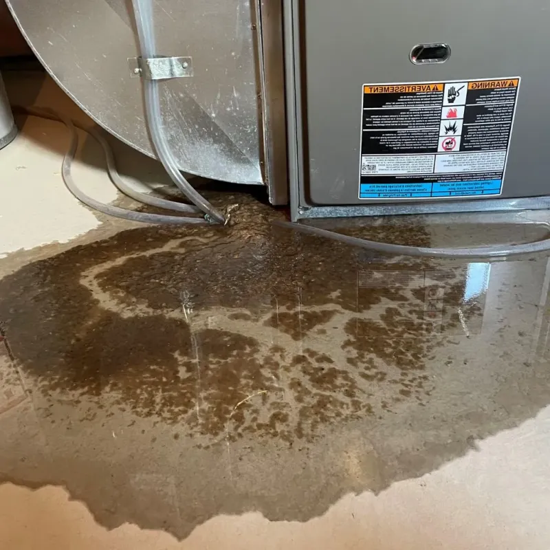 Pipe Burst and Leak Restoration in Chatham County, GA